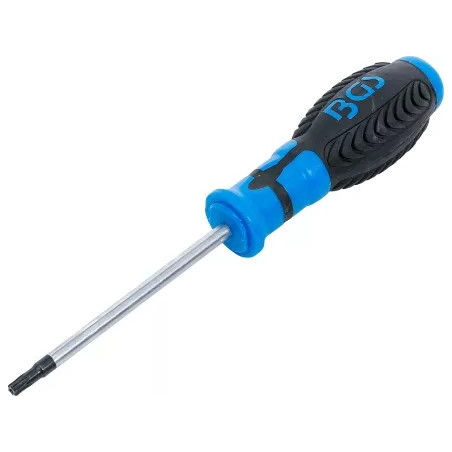 Tournevis profil T (pour Torx) avec perçage T27 | longueur de la lame 100 mm