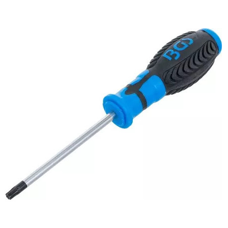 Tournevis profil T (pour Torx) avec perçage T30 | longueur de la lame 100 mm