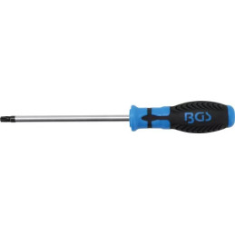 Tournevis profil T (pour Torx) avec perçage T40 | longueur de la lame 150 mm