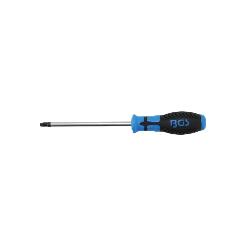 Tournevis profil T (pour Torx) avec perçage T40 | longueur de la lame 150 mm Tournevis profil T (pour Torx) avec perçage T40 | longueur de la lame 150 mm