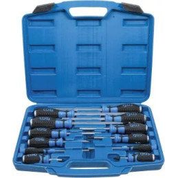 Jeu de tournevis | carré femelle 6,3 mm (1/4") | 12 pièces
