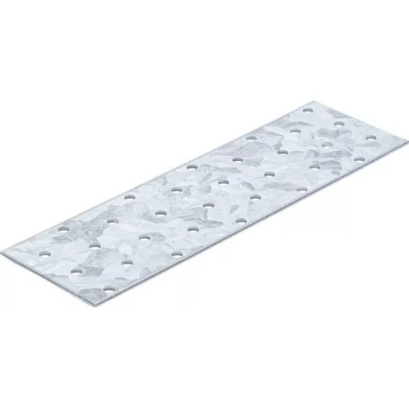 Tôle d'acier perforée | 200 x 60 x 2 mm