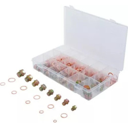 Assortiment de bouchons de vidange avec joints cuivre | 534 pièces
