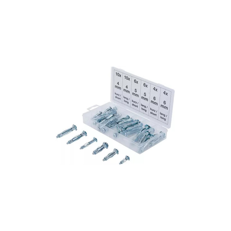Assortiment de chevilles de chevilles Molly | 40 pièces Assortiment de chevilles de chevilles Molly | 40 pièces