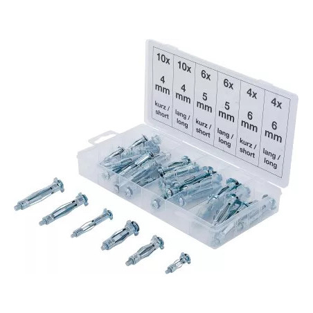 Assortiment de chevilles de chevilles Molly | 40 pièces