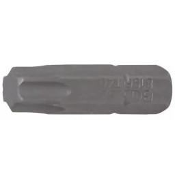 Embout | Longueur 25 mm | 6,3 mm (1/4") | profil T (pour Torx) T40
