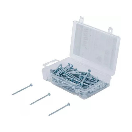 Assortiment de clous | 200 g | 2,5 x 50 mm
