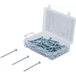 Assortiment de clous | 250 g | 2,8 x 60 mm