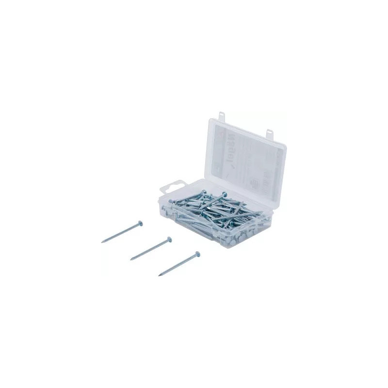 Assortiment de clous | 250 g | 2,8 x 60 mm Assortiment de clous | 250 g | 2,8 x 60 mm