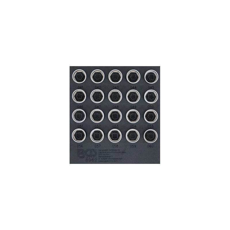 Insert de servante d'atelier 1/6 : Jeu d’outils pour écrous antivol pour BMW | 20 pièces Insert de servante d'atelier 1/6 : Jeu d’outils pour écrous antivol pour BMW | 20 pièces