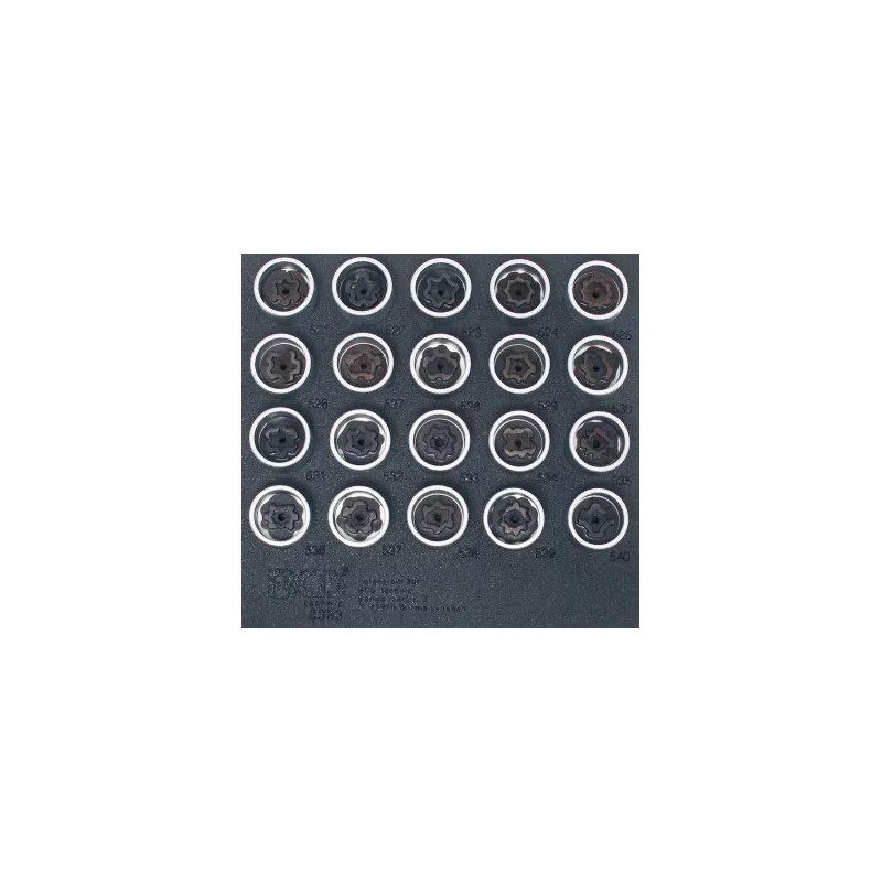 Insert de servante d'atelier 1/6 : Jeu d’outils pour écrous antivol pour VAG | 20 pièces Insert de servante d'atelier 1/6 : Jeu d’outils pour écrous antivol pour VAG | 20 pièces