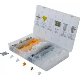 Assortiment de clips de fixation automobiles pour Renault | 300 pièces