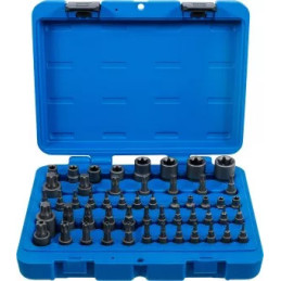 Jeu d’embouts et de douilles | Profil E/T (pour Torx)/Profil T (pour Torx) avec perçage/Profil TP (pour Torx Plus) | 52 pièces