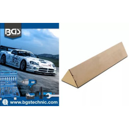 Affiche BGS® dans carton | DIN A1