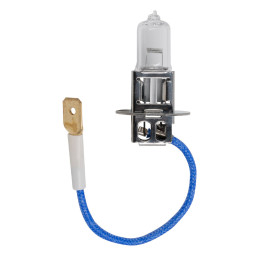 AMPOULE OBN H3 12V 55W ( 10 PCS)