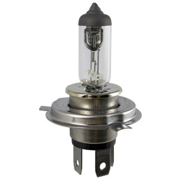 AMPOULE OBN H4 12V 60/55W ( 10 PCS)