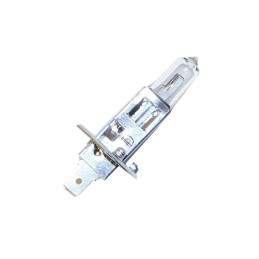 LAMPE 55W 12 VOLT ( 10 PCS )