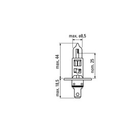 LAMPE 55W 12 VOLT ( 10 PCS )
