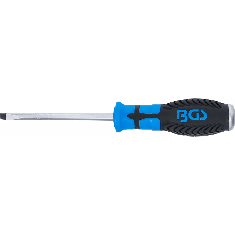 Tournevis | fente 6 mm | longueur de la lame 100 mm