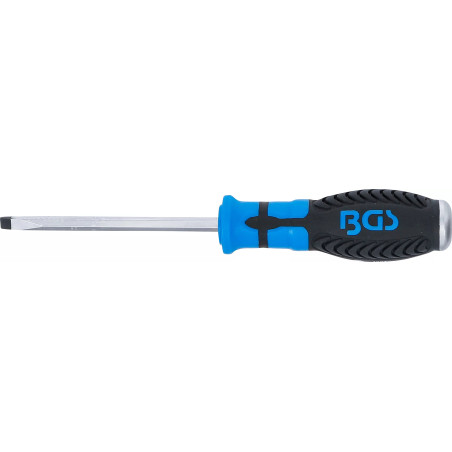 Tournevis | fente 6 mm | longueur de la lame 100 mm