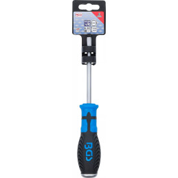 Tournevis | fente 6 mm | longueur de la lame 100 mm