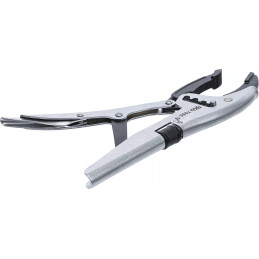 Pince-étau | réglage rapide quadruple | Mâchoire inférieure profondément cintrée | type français | 250 mm