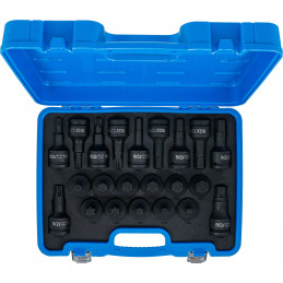 Jeu de douilles à embouts à choc | 20 mm (3/4") | six pans femelle, Profil T (pour Torx) | 22 pièces