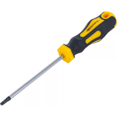 Tournevis | profil T (pour Torx) T20 | longueur de la lame 100 mm
