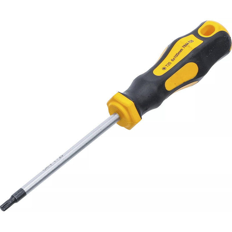 Tournevis | profil T (pour Torx) T25 | longueur de la lame 100 mm