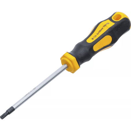 Tournevis | profil T (pour Torx) T25 | longueur de la lame 100 mm