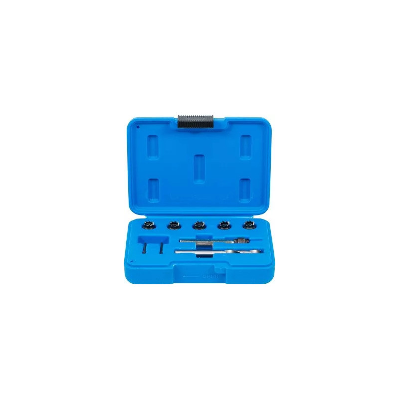 Jeu de fraises à dépointer | 10 pièces