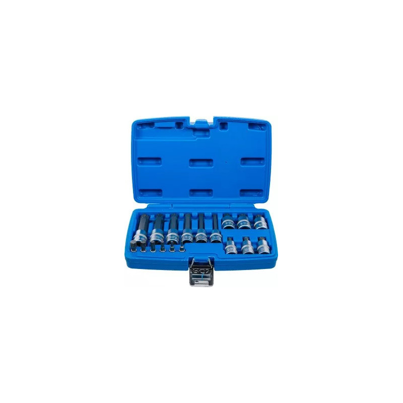 Jeu de douilles à embouts | 6,3 mm (1/4") / 12,5 mm (1/2") | Denture multiple intérieure (pour XZN) | 18 pièces