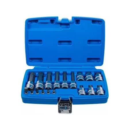 Jeu de douilles à embouts | 6,3 mm (1/4") / 12,5 mm (1/2") | Denture multiple intérieure (pour XZN) | 18 pièces