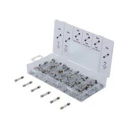 Assortiment de fusibles en verre | 120 pièces