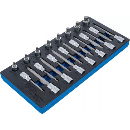 SERVANTE EXCLU CARROSSIER (295 PCS)