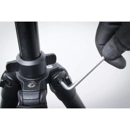 Jeu de clés allen | extra longues | Profil T (pour Torx) avec perçage T10 - T50 | 9 pièces