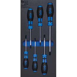 Insert de servante d'atelier 1/3 : Tournevis profil T (pour Torx) | 6 pièces