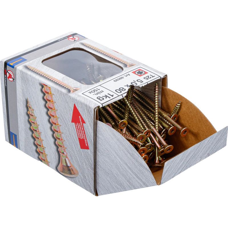 Vis multifonctions | profil en T (pour Torx) T25 1KG