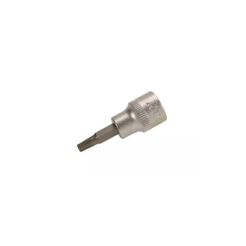 Douille à embouts | 10 mm (3/8") | profil T (pour Torx) avec perçage T25 Douille à embouts | 10 mm (3/8") | profil T (pour Torx) avec perçage T25