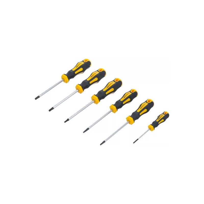 Jeu de tournevis | profil en T (pour Torx) T10 - T30 | 6 pièces