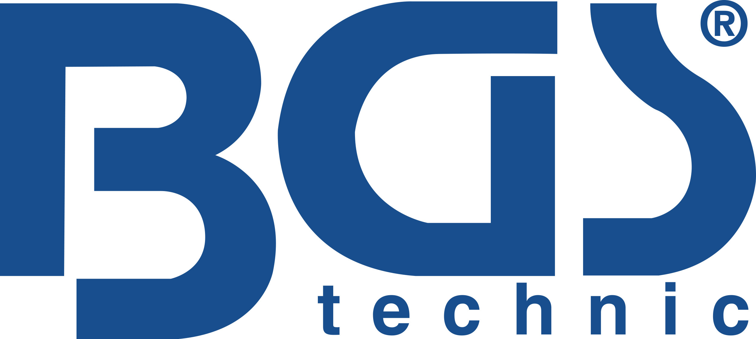 BGS tecnic
